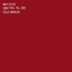 #91101D - Old Brick Color Image